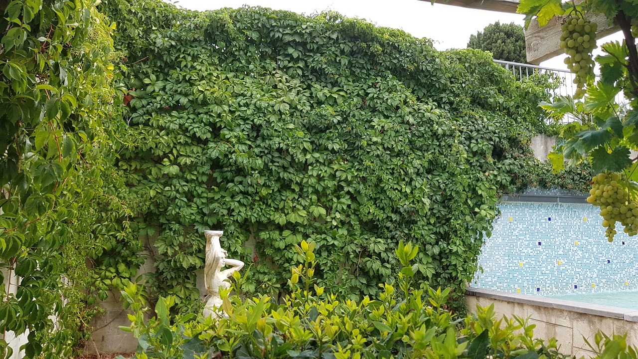 Photo of Outdoor in Vallon-Pont-d'Arc