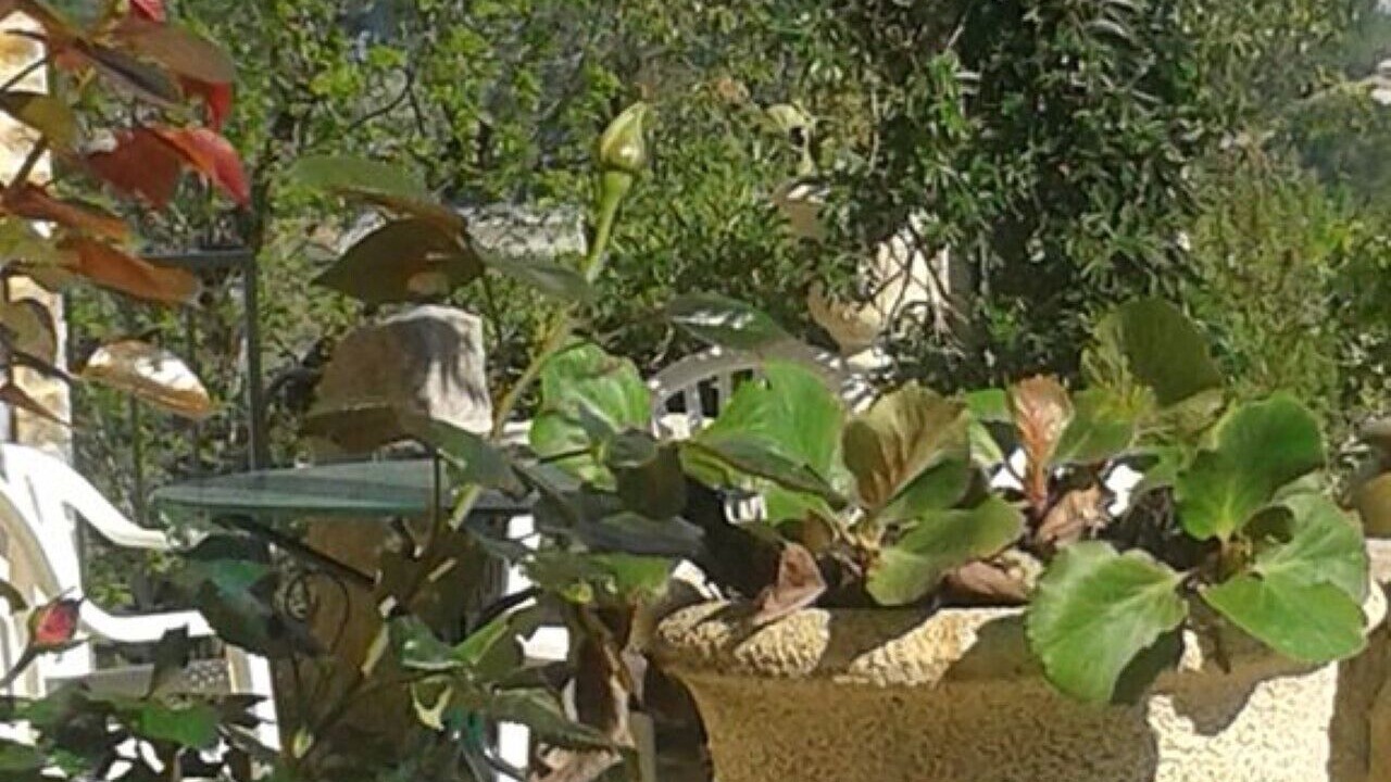 Photo of Outdoor in Vallon-Pont-d'Arc