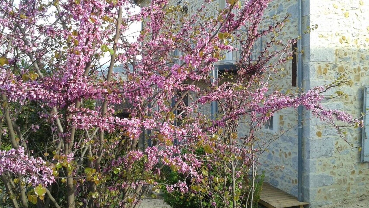 Photo of Outdoor in Vallon-Pont-d'Arc