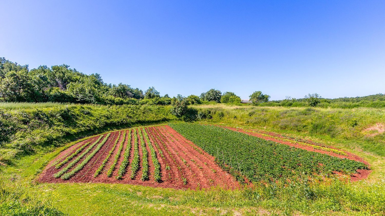 Photo of Outdoor in Grandici