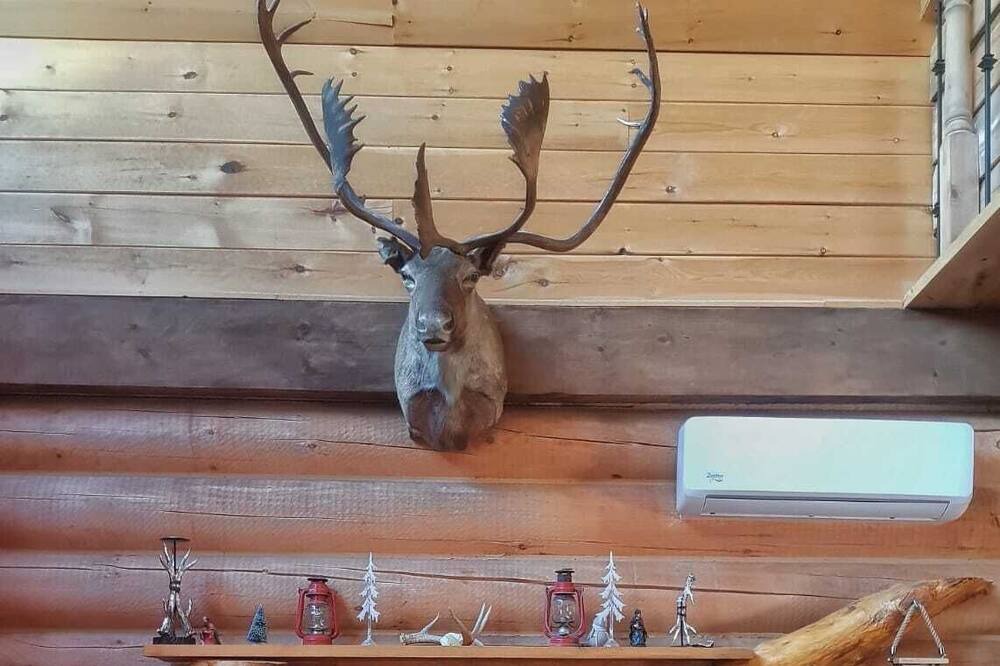 Photo of Others in Wentworth-Nord
