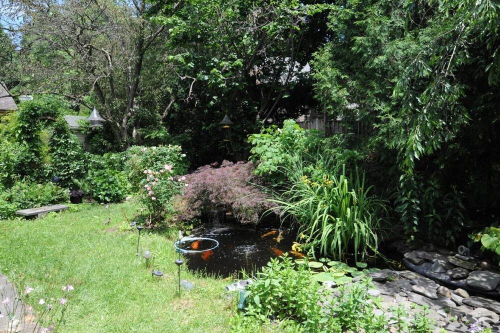 Photo of Outdoor in Ithaca