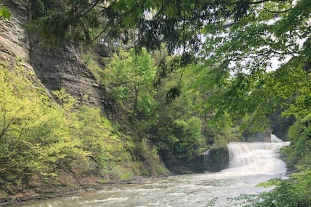 Photo of Others in Ithaca