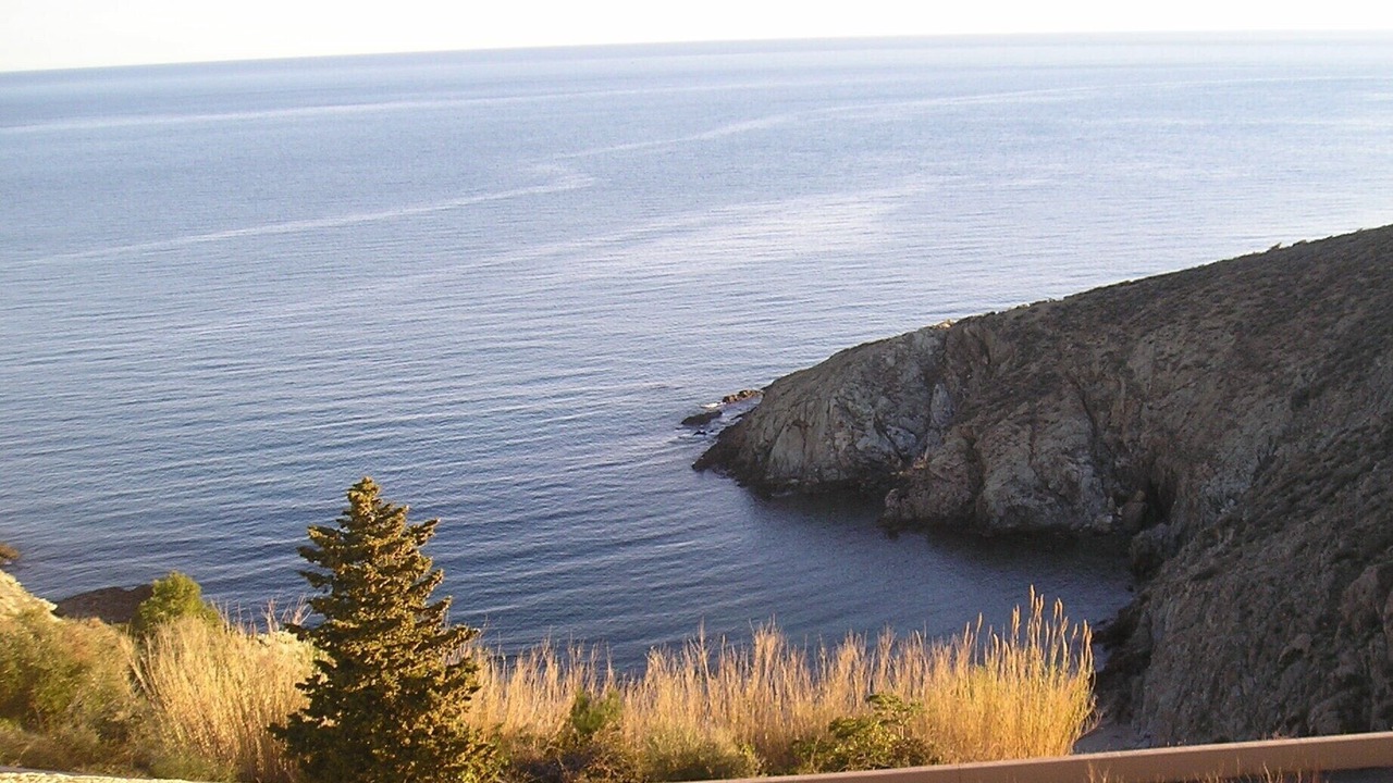 Photo of Others in Banyuls-sur-Mer