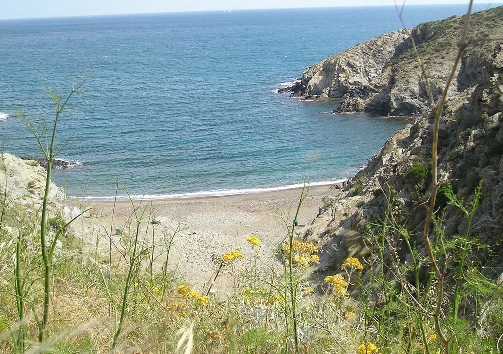 Photo of Others in Banyuls-sur-Mer