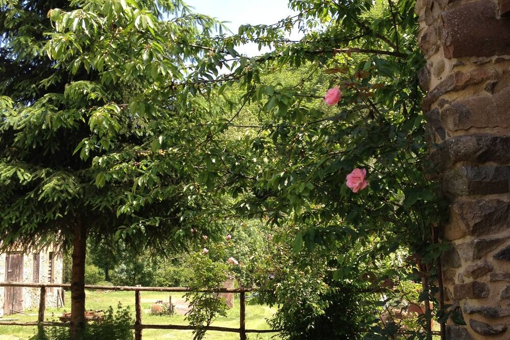 Photo of Outdoor in Osor