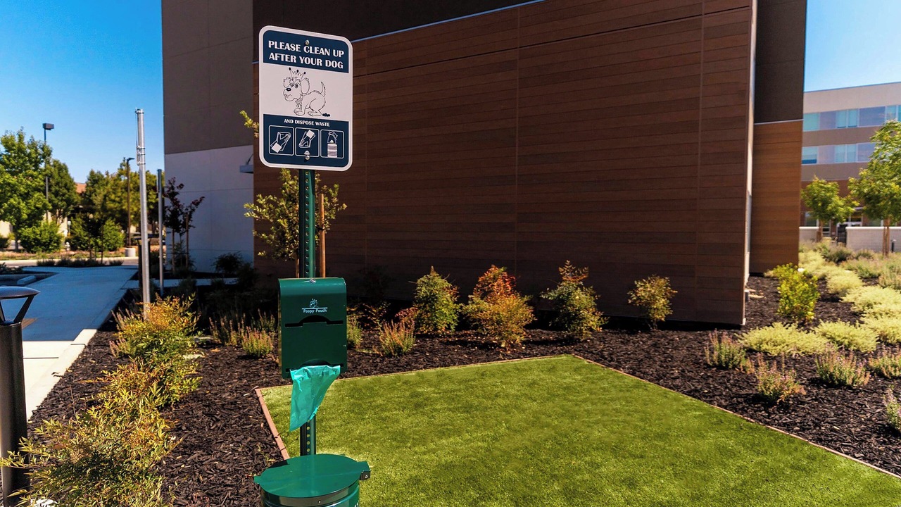 Photo of Outdoor in Sacramento