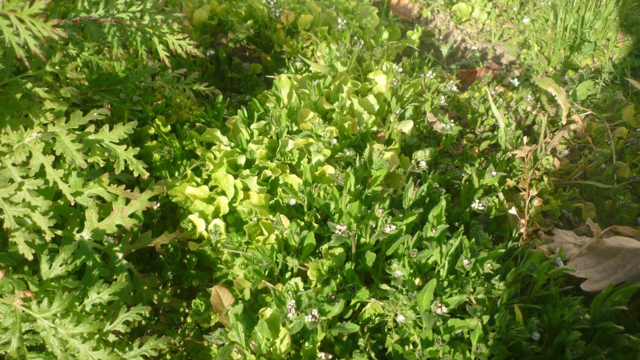 Photo of Outdoor in Target