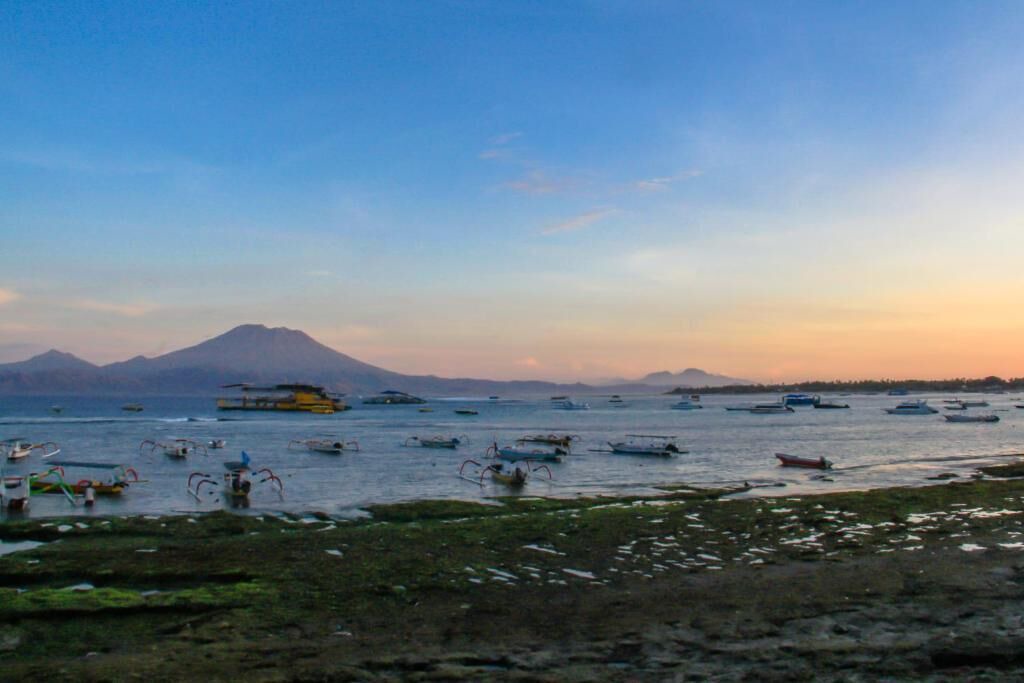 Photo of Others in Mushroom Bay