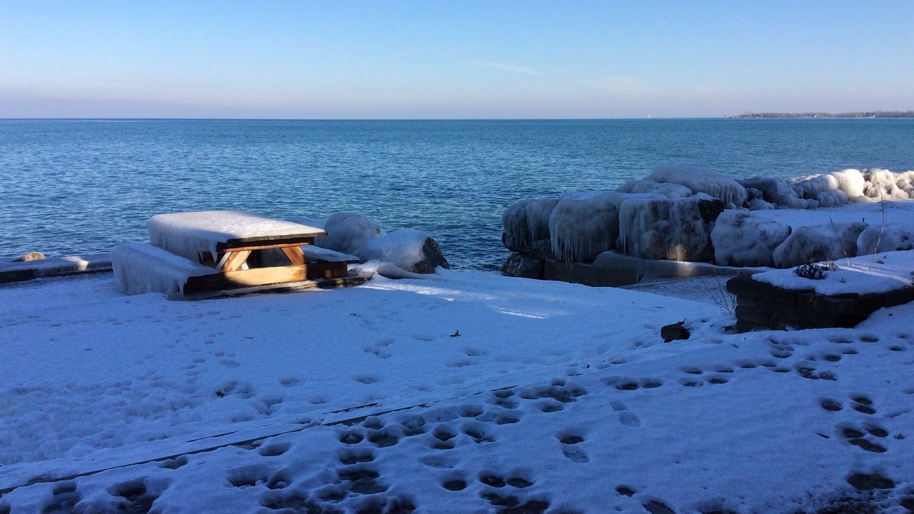 Photo of Others in Craigleith