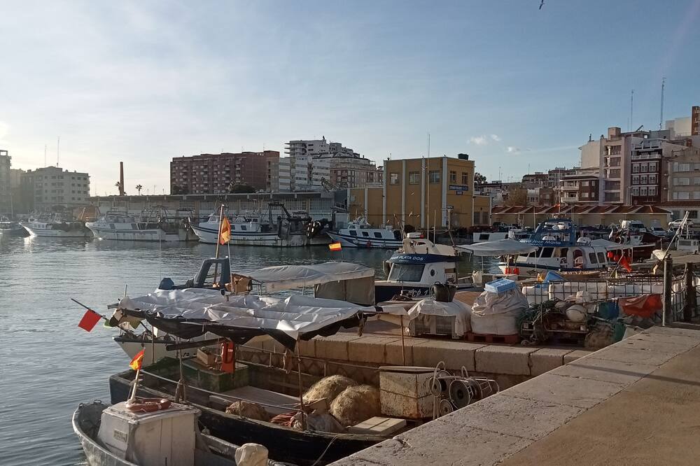 Photo of Others in Ulldecona