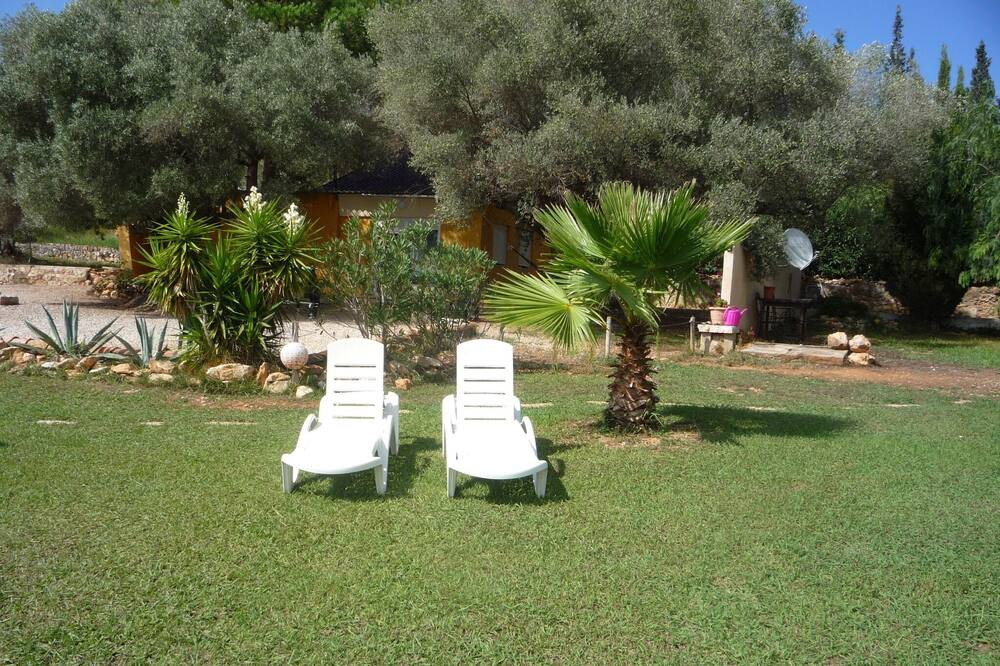 Photo of Outdoor in Ulldecona