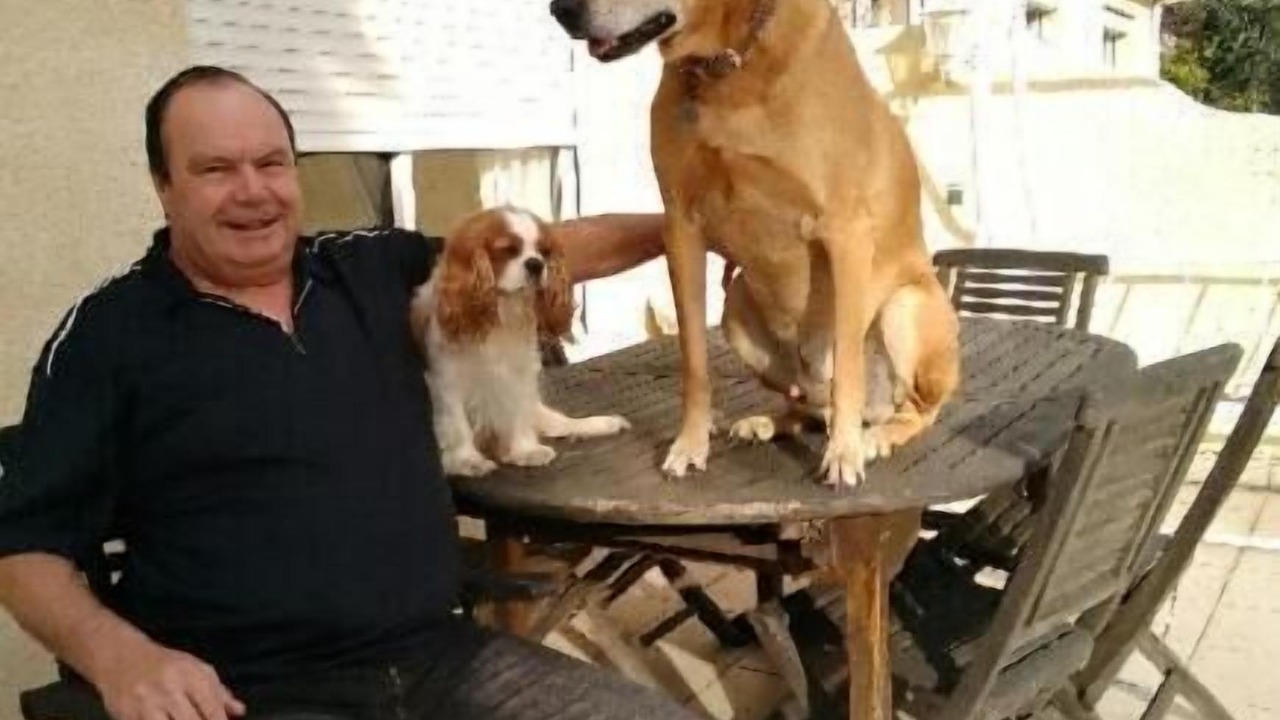 Photo of Outdoor in Sete