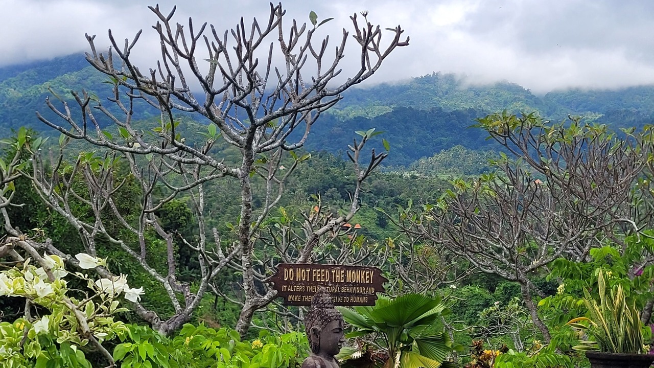 Photo of Outdoor in Sukasada