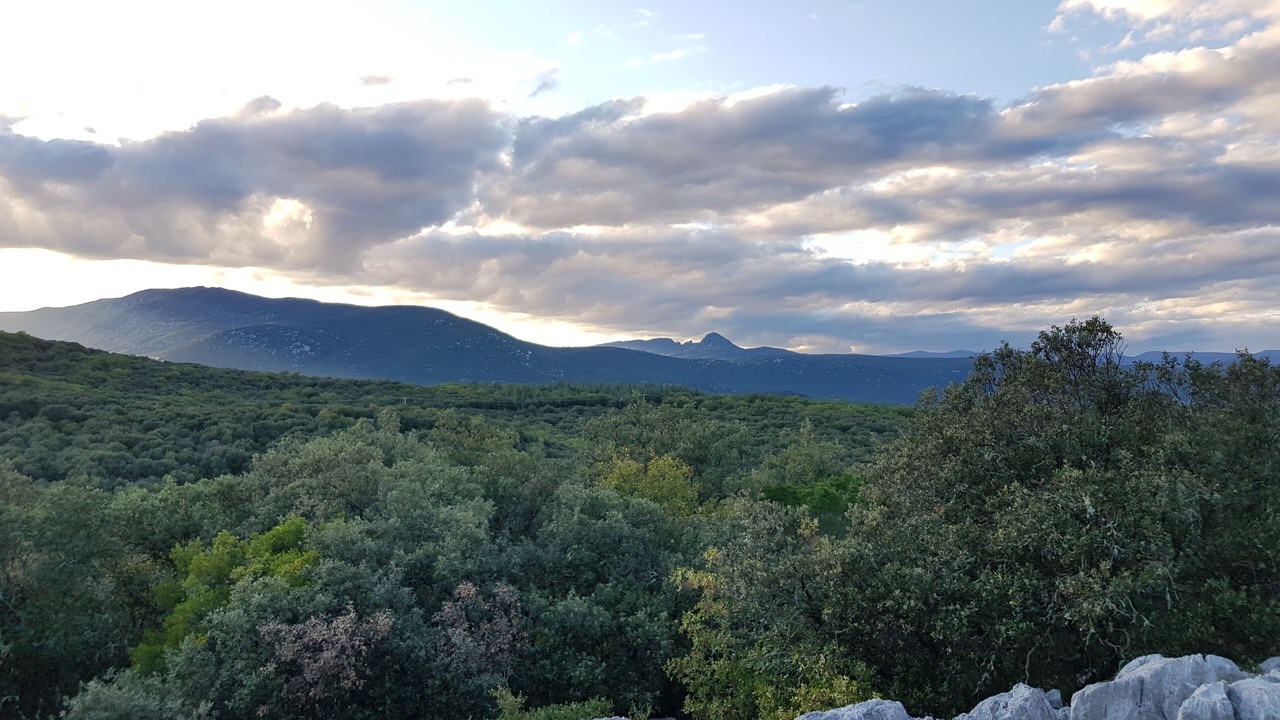 Photo of Outdoor in Brissac