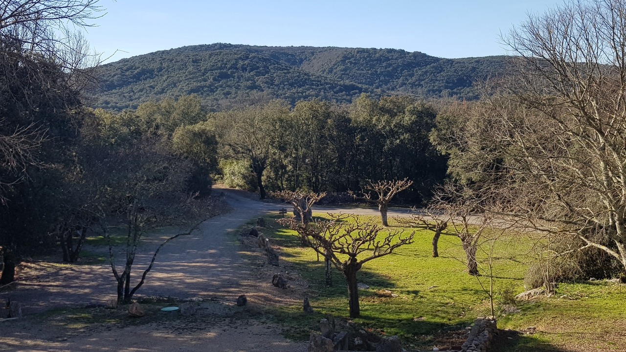 Photo of Others in Brissac