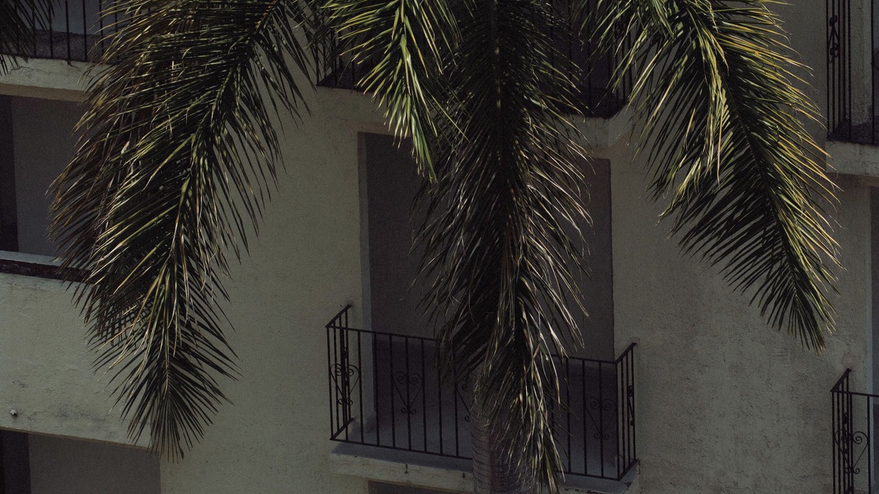 Photo of Outdoor in Tequesquitengo