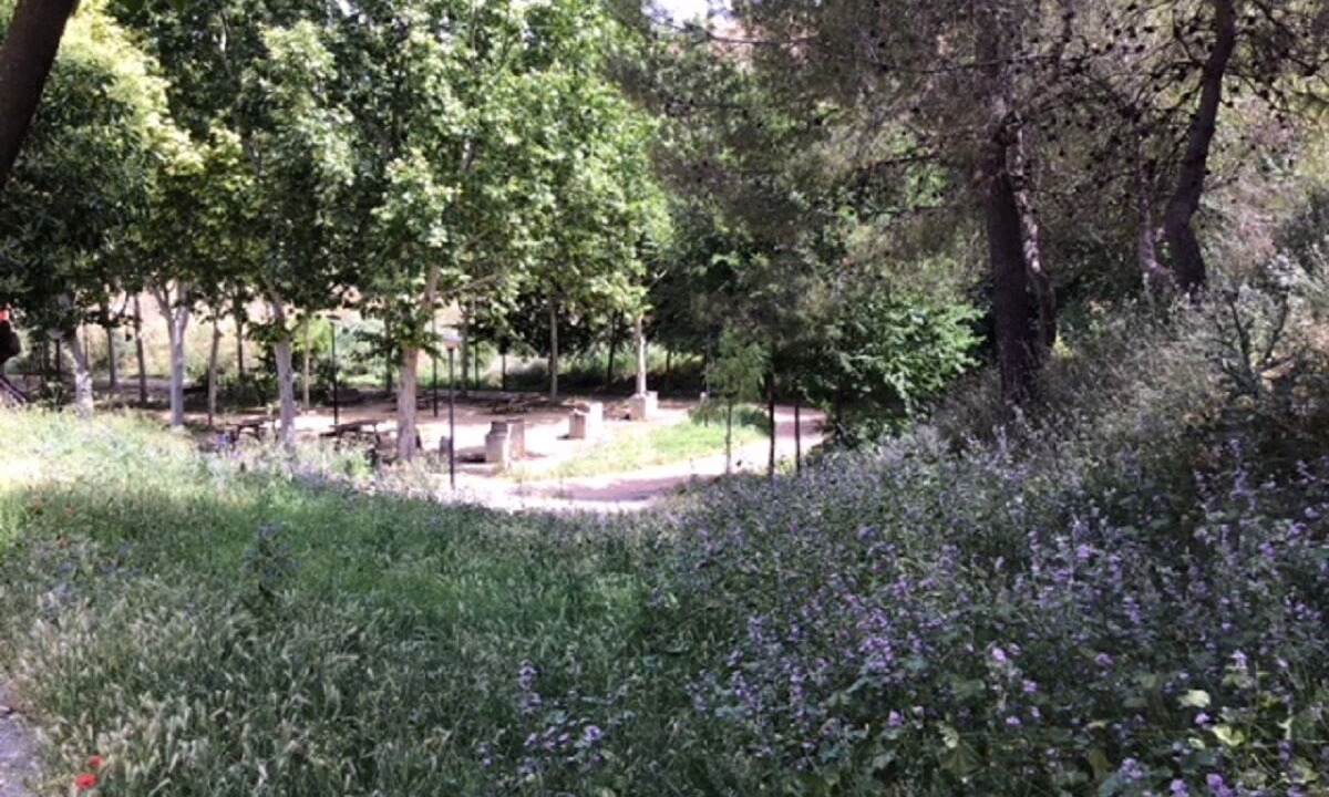 Photo of Outdoor in Ciruelos