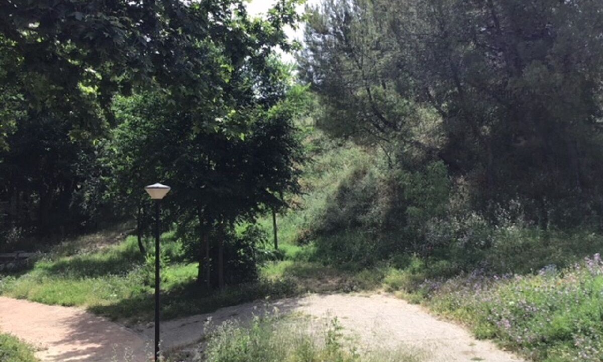 Photo of Outdoor in Ciruelos