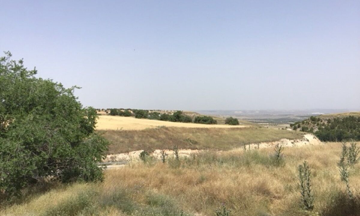 Photo of Outdoor in Ciruelos