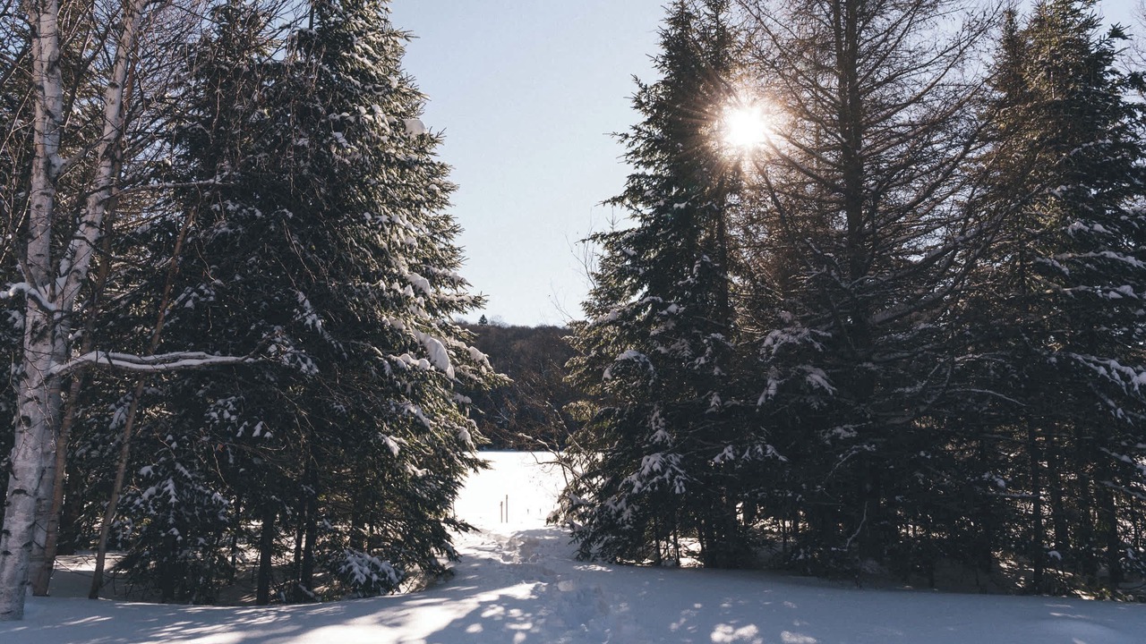 Photo of Others in Mont-Tremblant