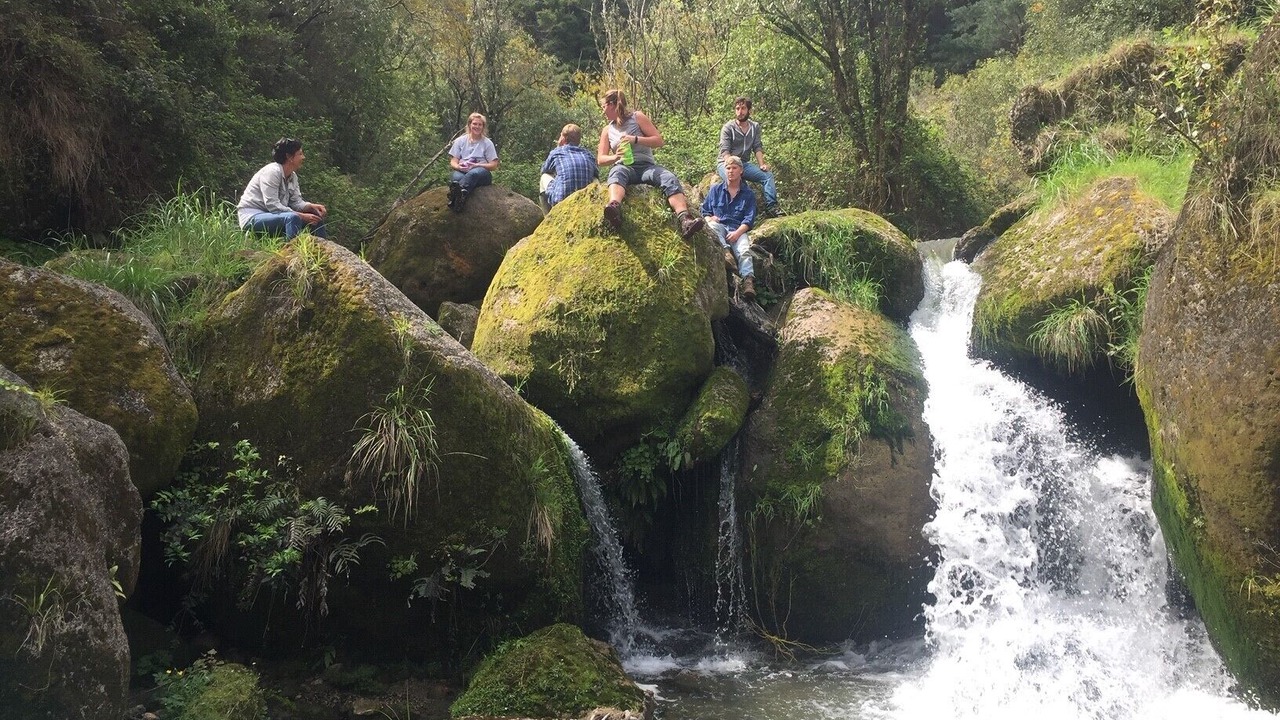 Photo of Outdoor in Te Haroto