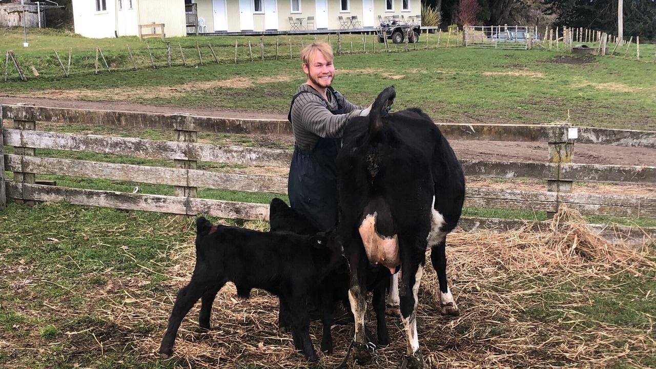 Photo of Others in Te Haroto