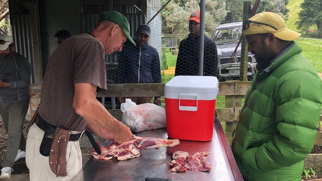 Photo of Outdoor in Te Haroto