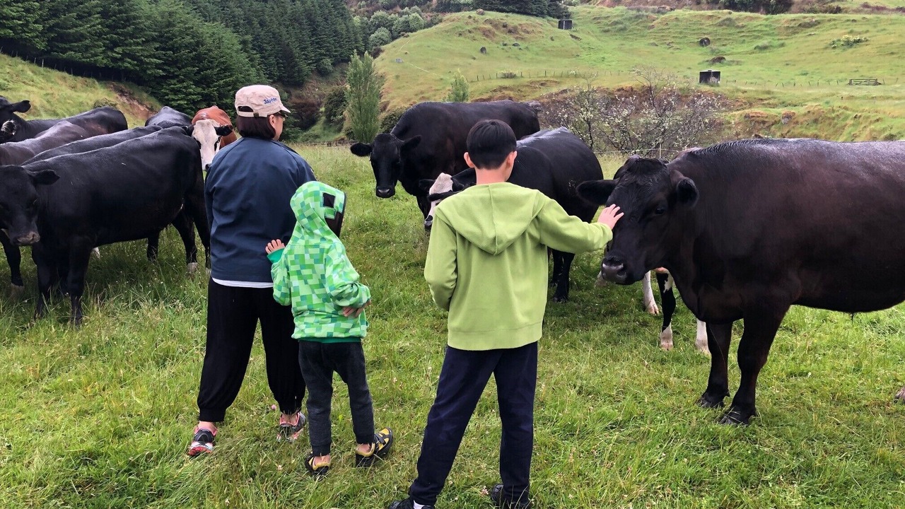 Photo of Others in Te Haroto