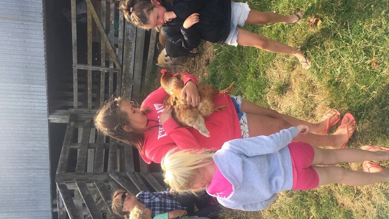 Photo of Others in Te Haroto