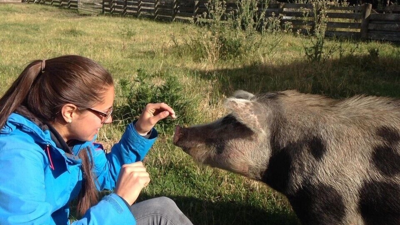 Photo of Others in Te Haroto