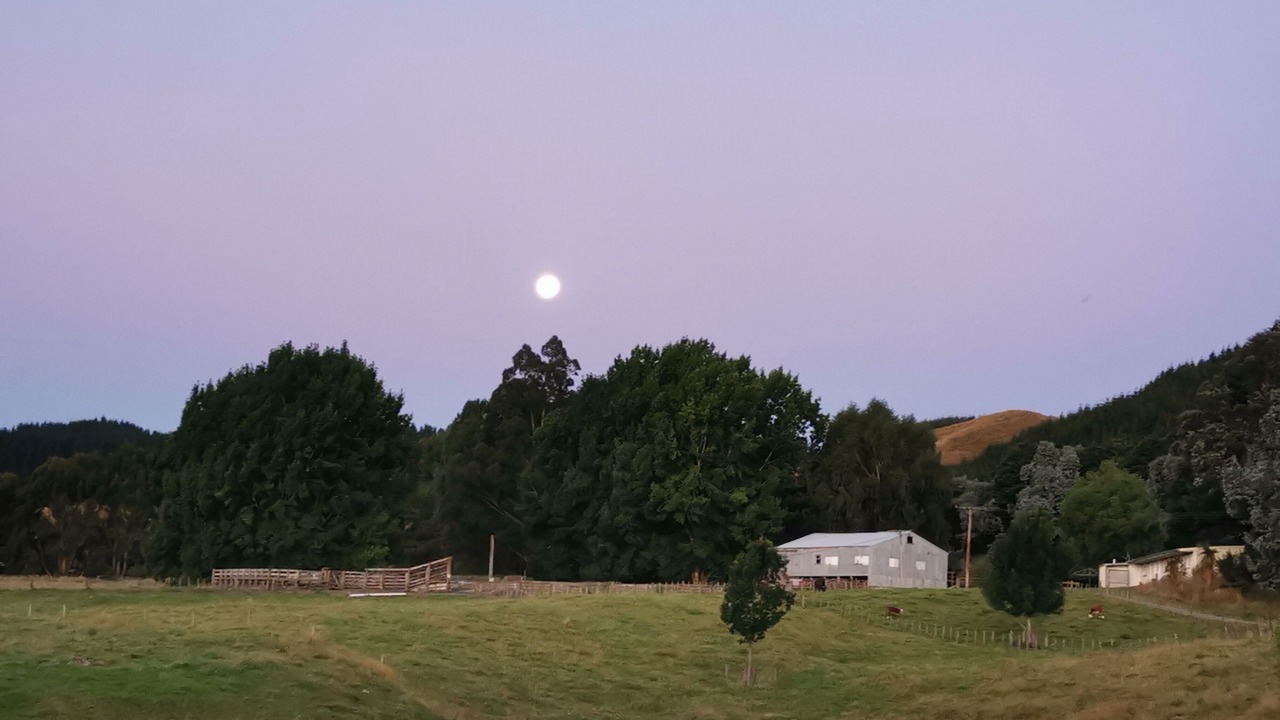 Photo of Others in Te Haroto