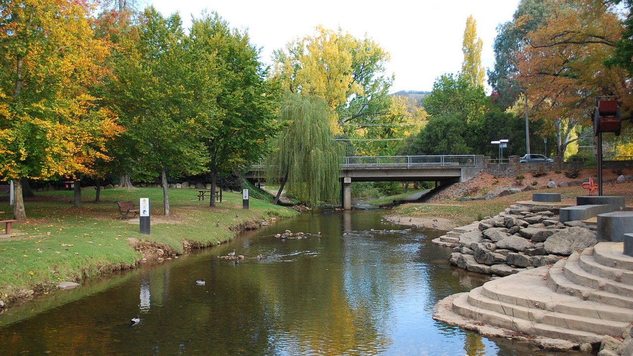 Photo of Outdoor in Bright