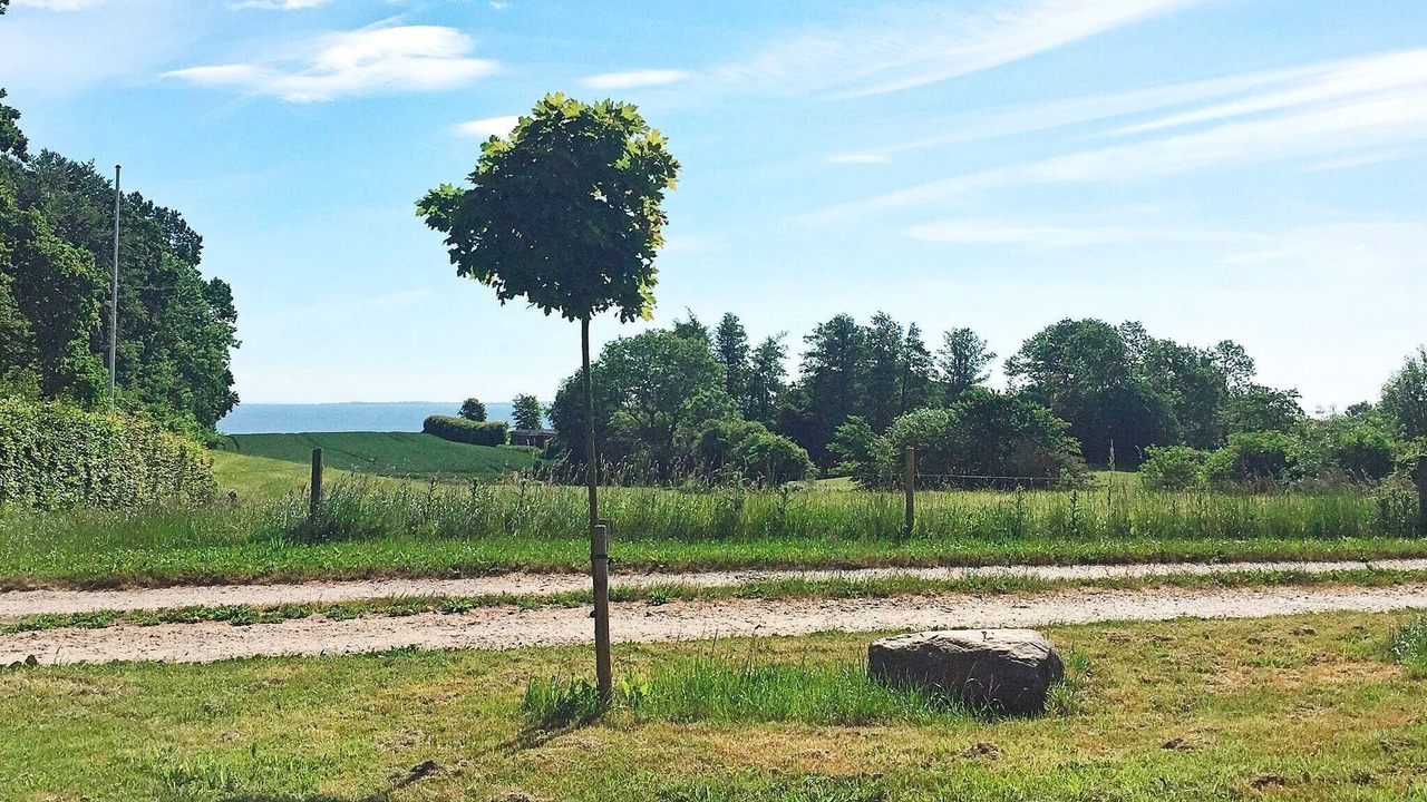 Photo of Outdoor in Kettingskov