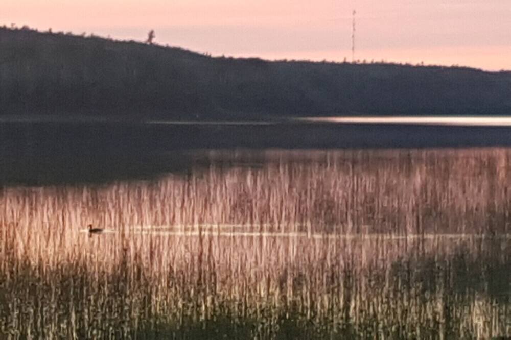 Photo of Others in Timiskaming District
