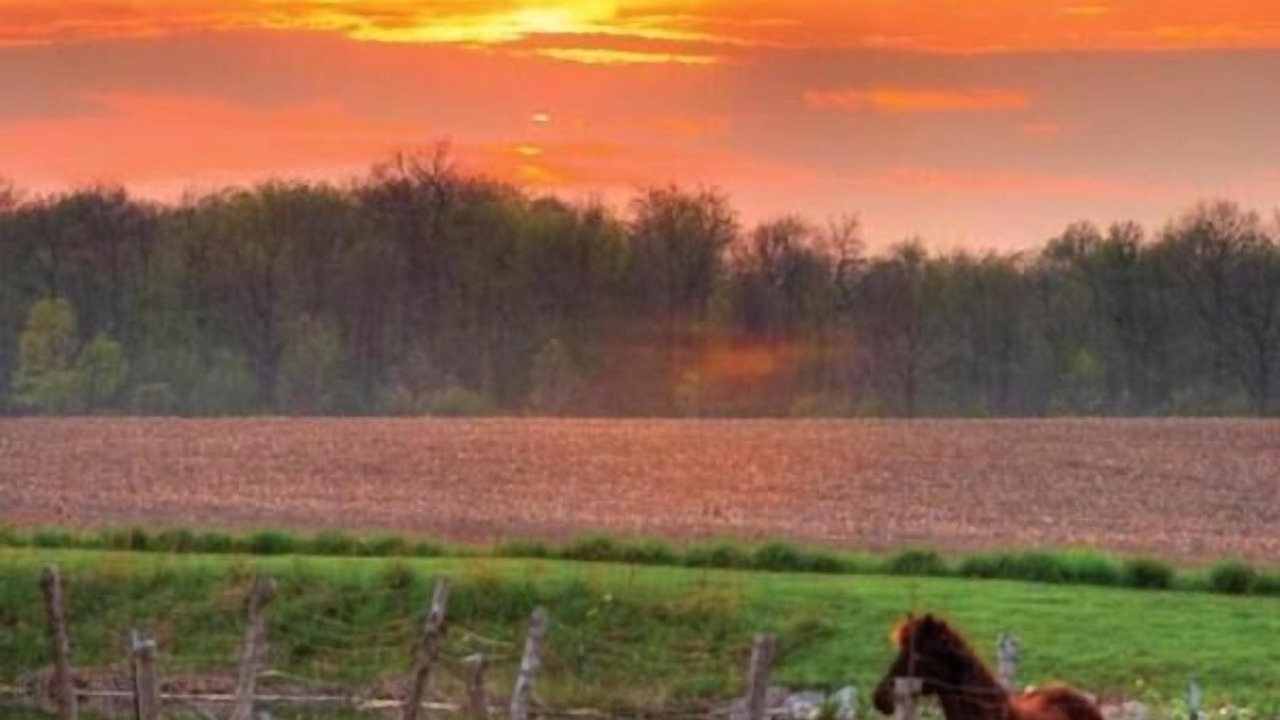 Photo of Outdoor in Canandaigua