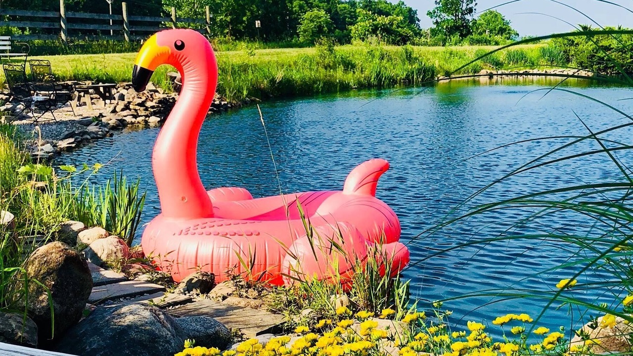 Photo of Outdoor in Canandaigua