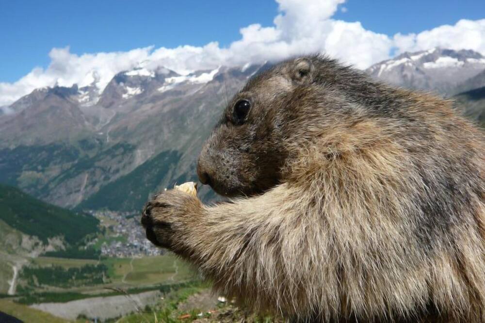 Photo of Others in Saas-Fee