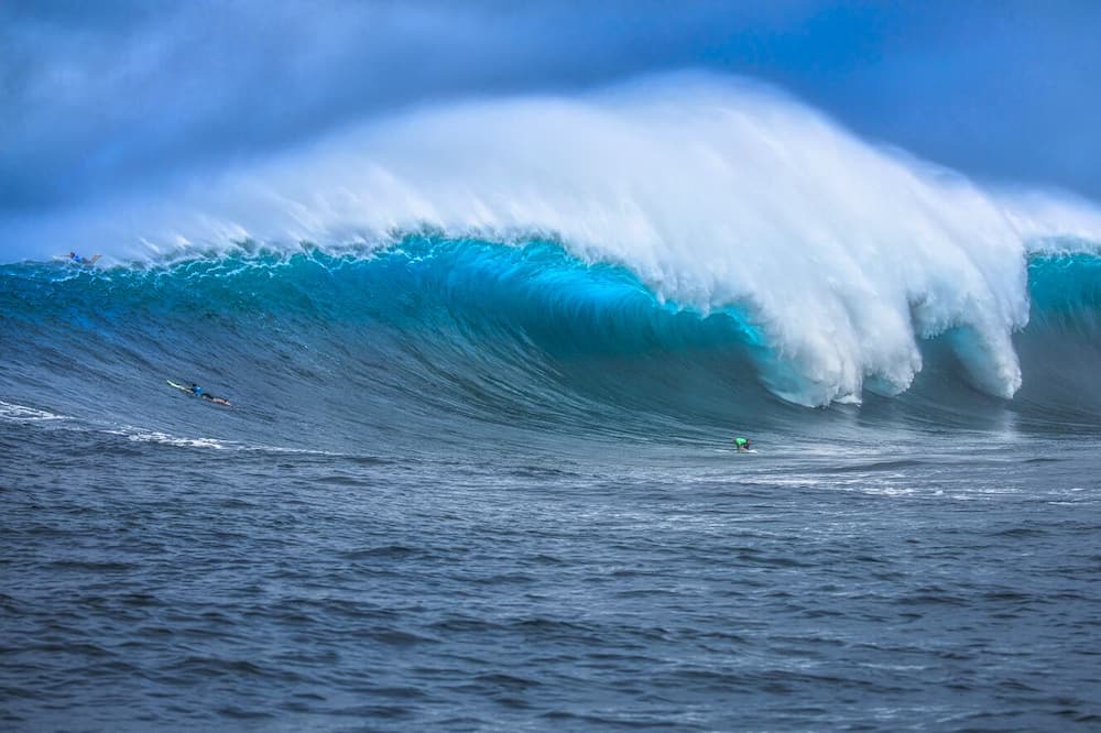 Photo of Others in Haliimaile