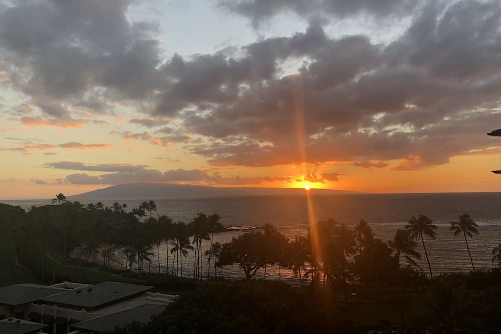 Photo of Others in Haliimaile