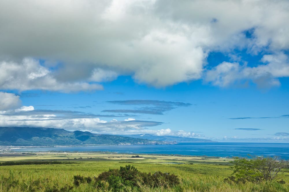 Photo of Others in Haliimaile