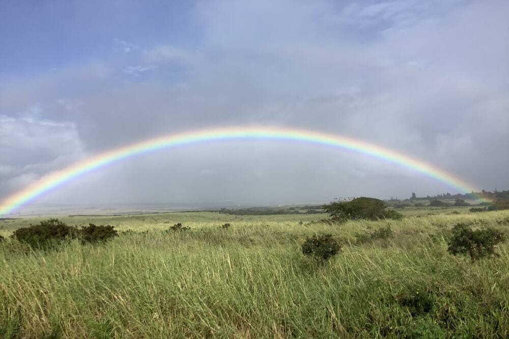 Photo of Others in Haliimaile