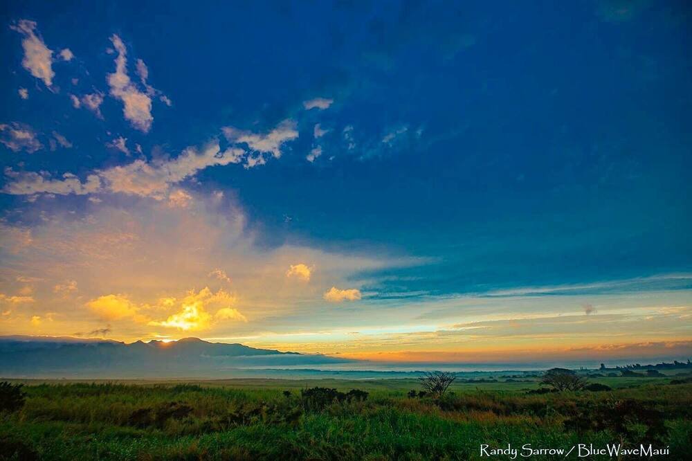 Photo of Others in Haliimaile