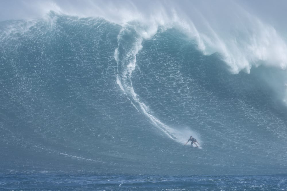 Photo of Others in Haliimaile