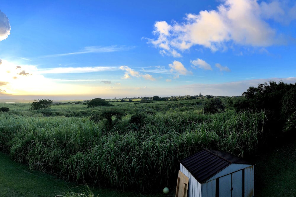 Photo of Outdoor in Haliimaile