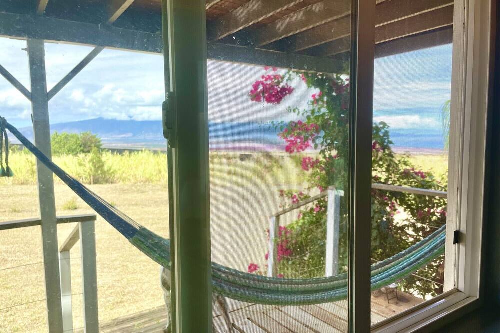 Photo of Others in Haliimaile