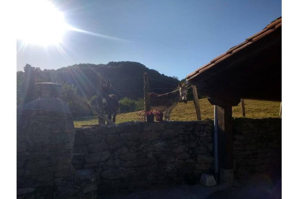 Photo of Others in Ituren