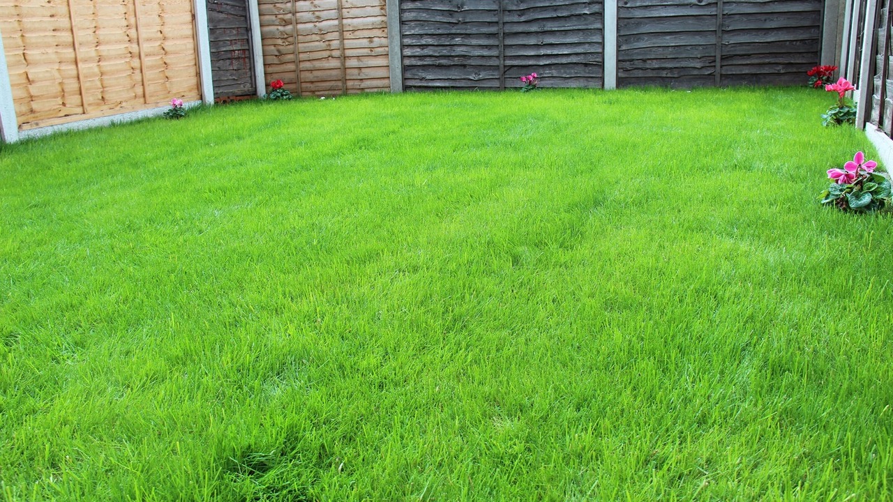 Photo of Outdoor in Droylsden