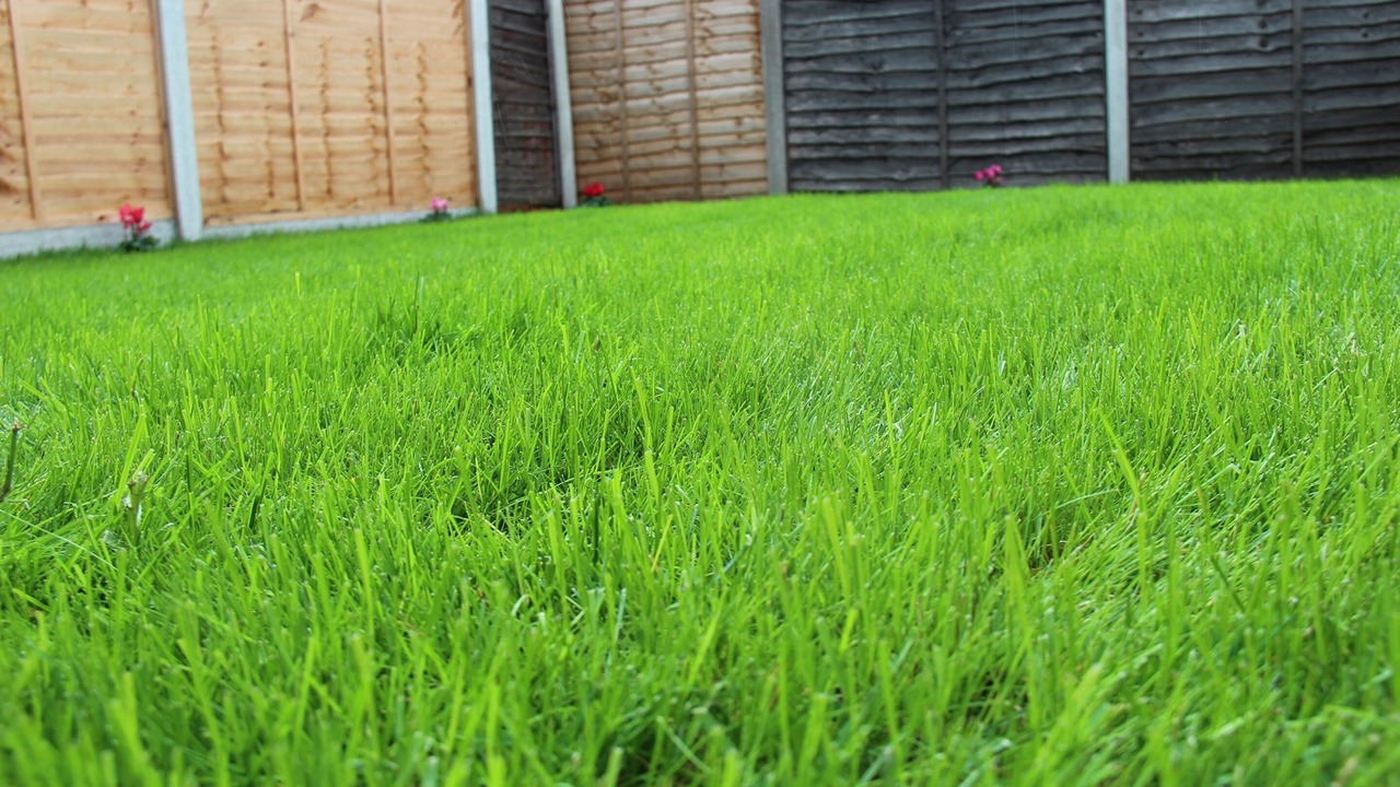 Photo of Outdoor in Droylsden