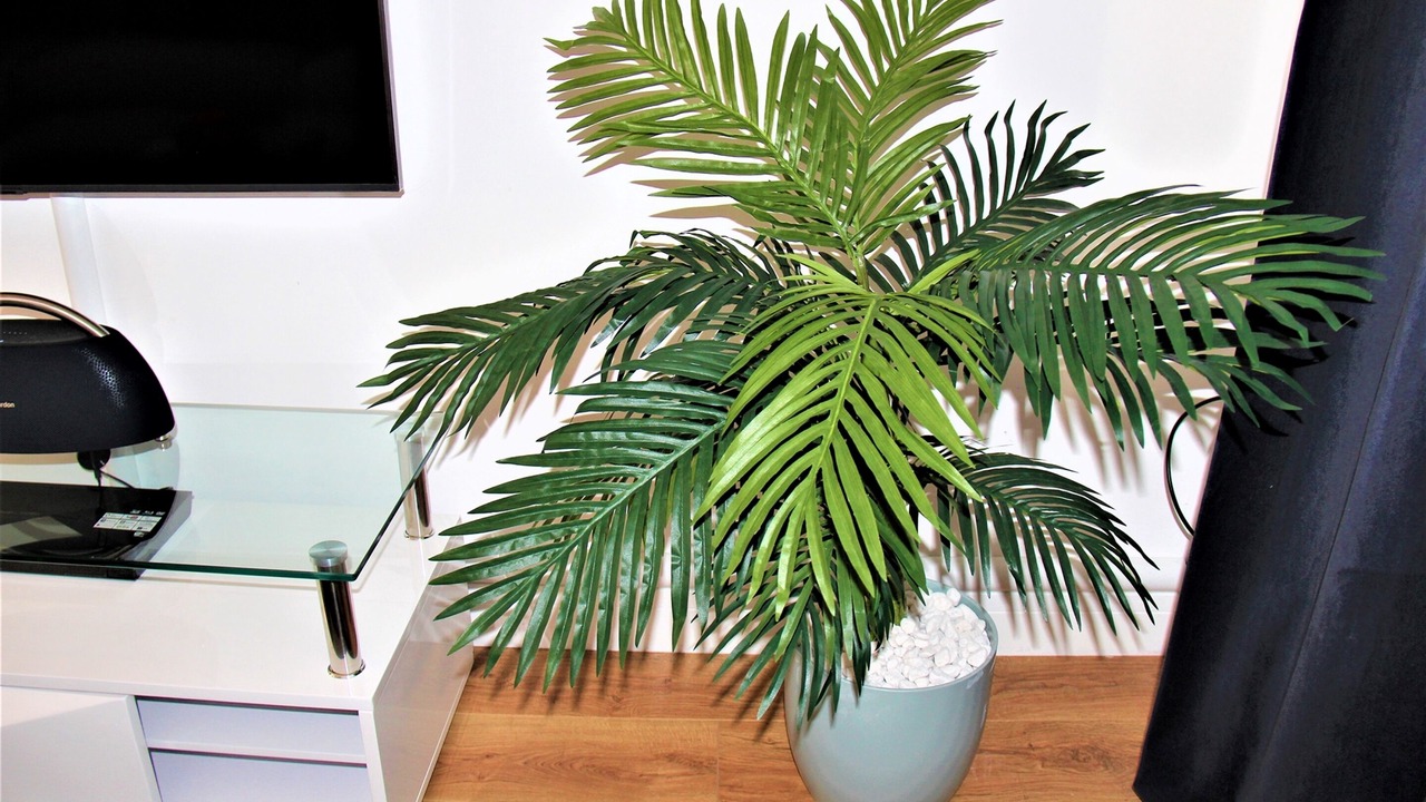 Photo of Others in Droylsden